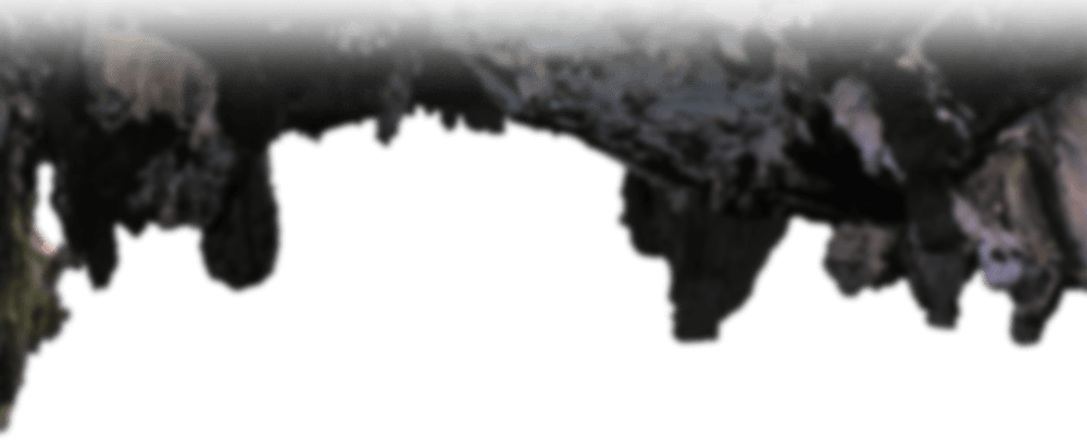 ארכיאולוגיה תנכ"ית